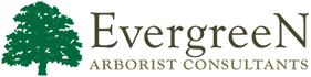 Evergreen Arborist Consultants