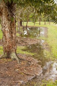 small runoff water