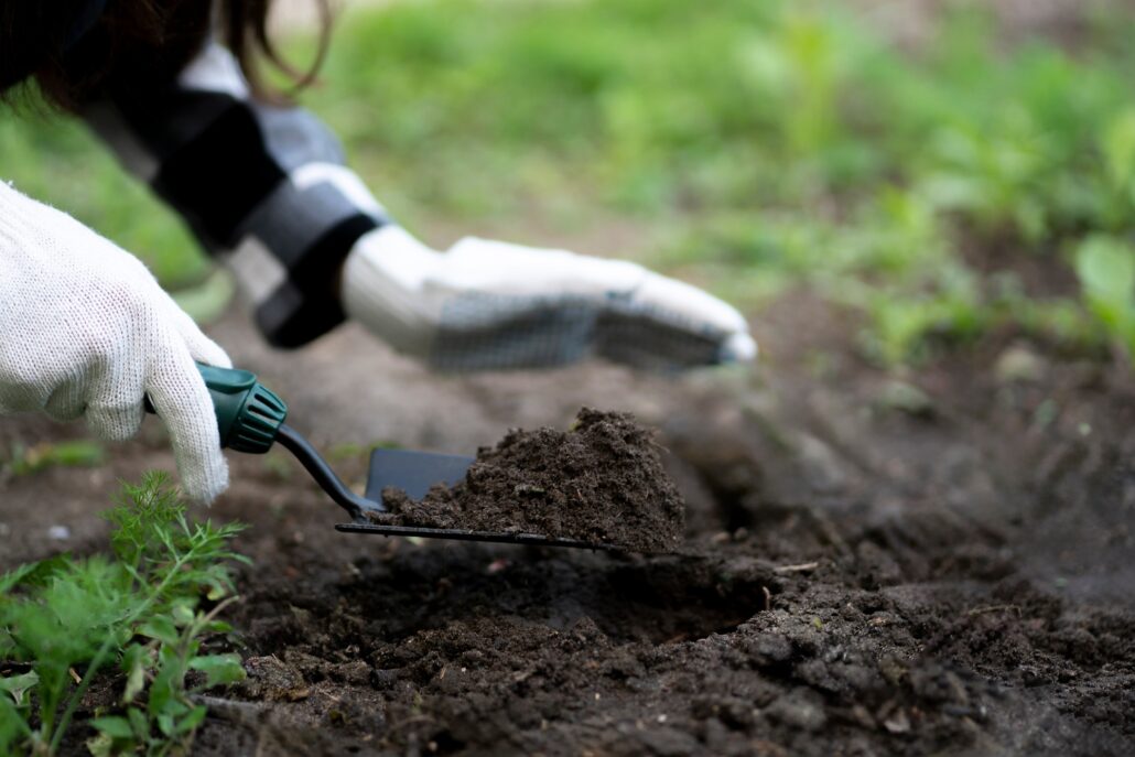 person planting a new flower plant in the garden outdoors