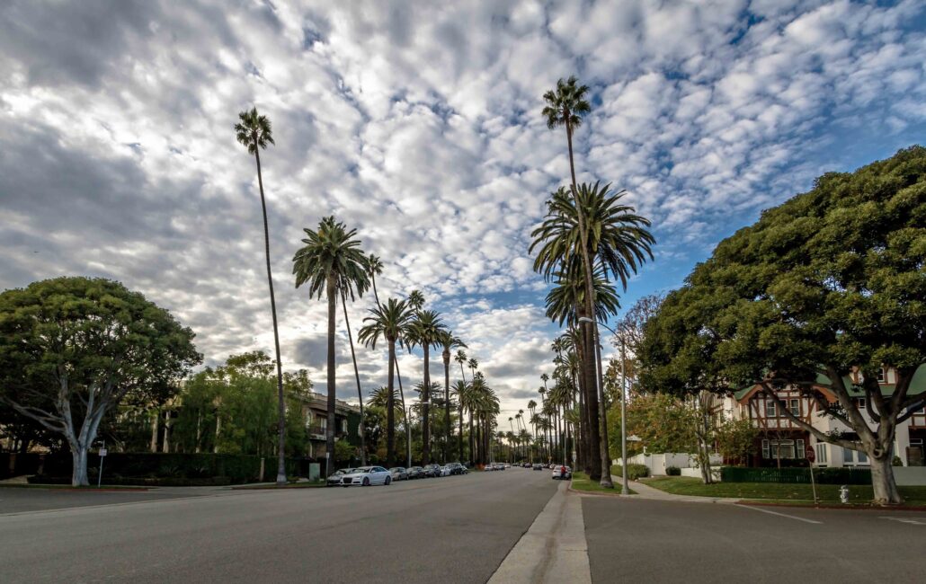 Street with Palm Trees in Beverly Hills - Los Angeles, California, USA